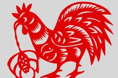 1993年属什么生肖：生肖鸡五行属水