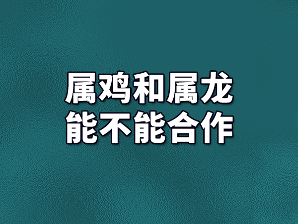 属鸡和属龙能不能合作：可以合作(两人是六合)
