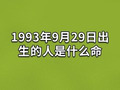 2025-08-04出生的人是什么命：刚腹自用(气质出众)